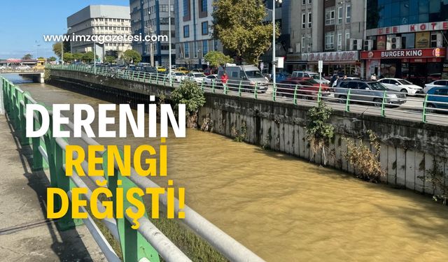 Derenin rengi değişti!