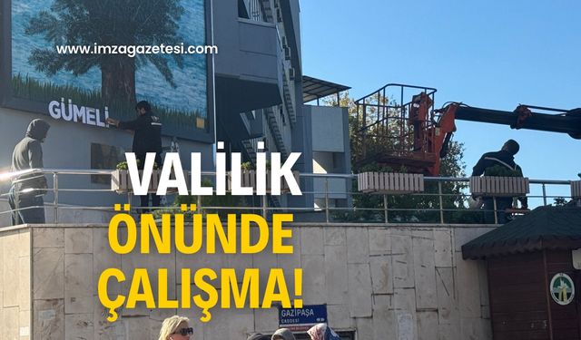 Asırlık ağacın ismi yazıldı!