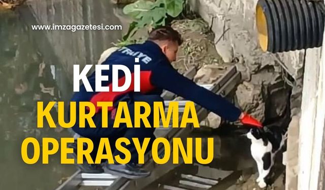 Çayda mahsur kaldı!