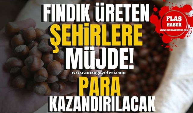 Fındık üretimi yapılan Bartın, Düzce, Giresun, Kocaeli, Ordu, Sakarya, Samsun, Trabzon, Zonguldak'a müjde!