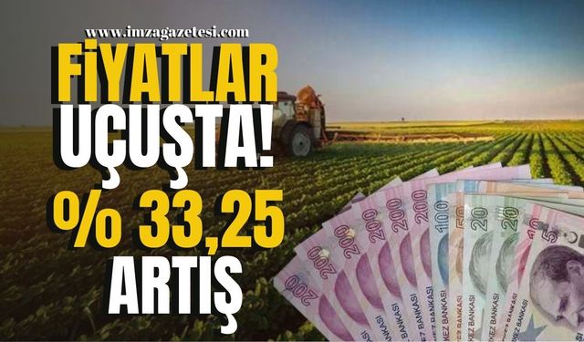 Fiyatlar Uçuşta! Yıllık Artış Yüzde 33,25!