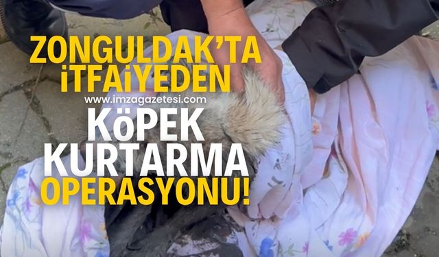 İtfaiye, kanala sıkışan köpeği böyle kurtardı!