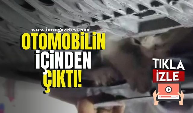 Karabük'te Otomobilden Çıktı!