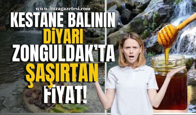 Kestane balının diyarı Zonguldak'ta "kestane balının fiyatı" dudak uçuklattı!