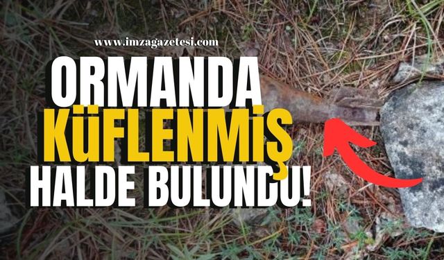 Mantar toplarken küflenmiş halde bulundu!