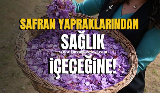 Safran Yapraklarından Sağlık İçeceğine...TÜBİTAK Destekli Proje Gıda İsrafını Azaltacak!