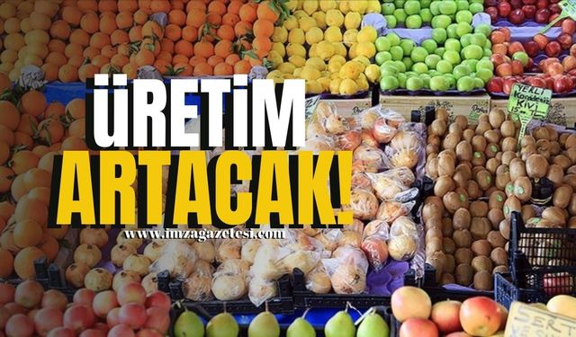 Tarla Ürünleri Azalacak, Meyve ve Sebze Üretimi Artacak!