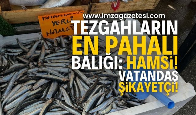 Tezgâhların En Pahalı Balığı Hamsi! Zonguldak'ta Hamsi Fiyatı El Yakıyor | Zonguldak haber