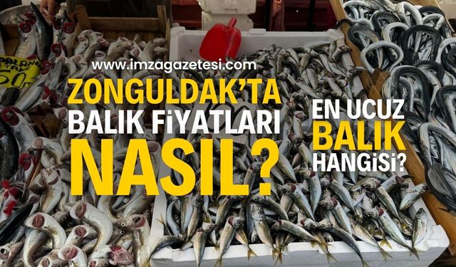 Tezgahların en ucuzu! Vatandaşın Gözdesi! | Zonguldak haber