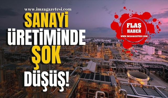 Türkiye Sanayi Üretiminde Şok Düşüş!