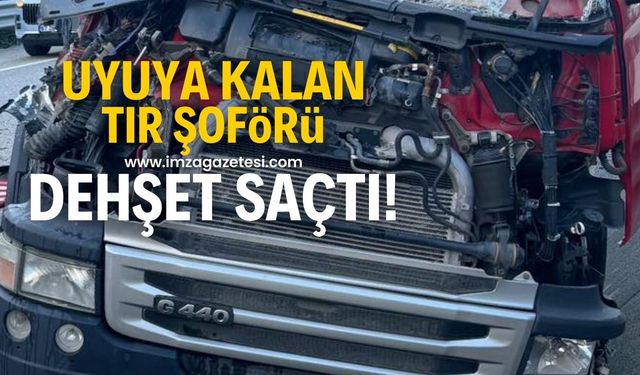 Uyuya kalan tır şoförü, tomruk yüklü kamyona çarptı!