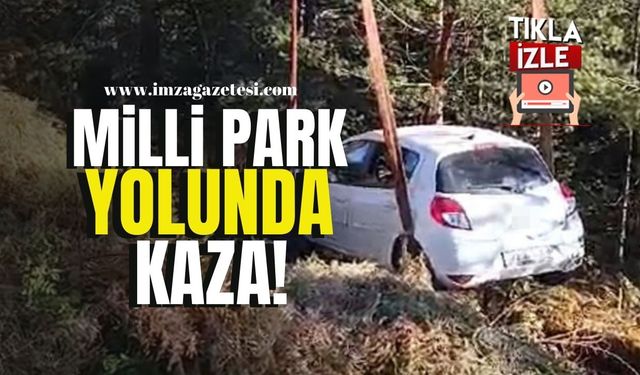 Yedigöller Milli Parkı Yolunda Kaza!