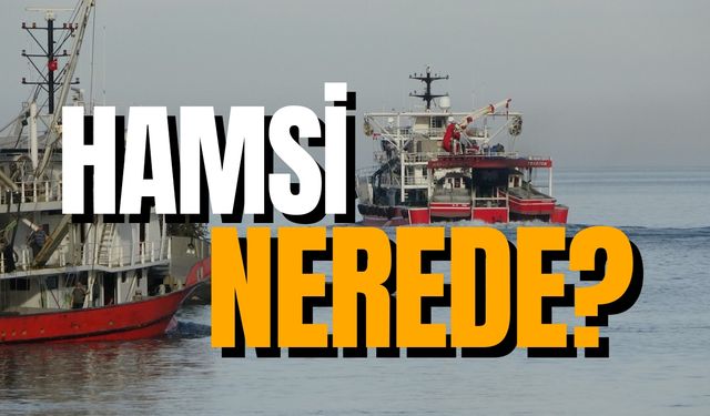 Hamsi nerede? Balıkçılar ve hamsi severlerde endişe!