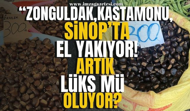 Zonguldak, Kastamonu, Sinop'ta kestane el yakıyor!