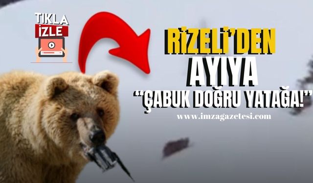 Rizeli kış uykusuna yatmayan ayıya seslendi! “Çabuk doğru yatağa”