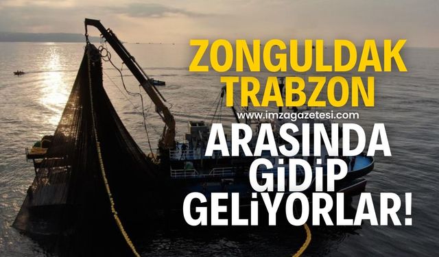 Zonguldak-Trabzon hattında gidip geliyorlar!