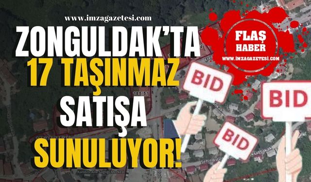 Zonguldak'ta On Yedi Taşınmaz Satışa Sunuluyor!