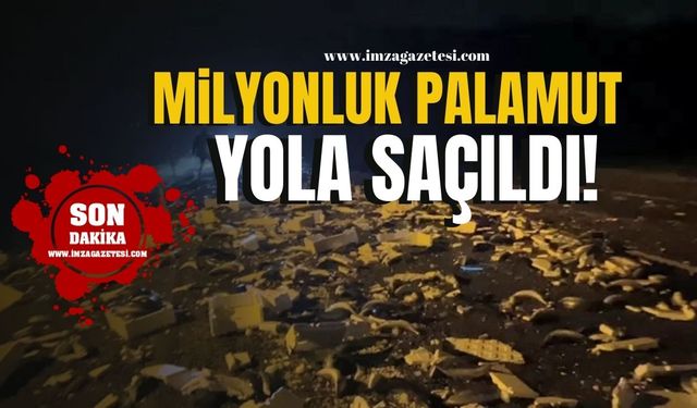 Milyonluk palamut yola saçıldı!