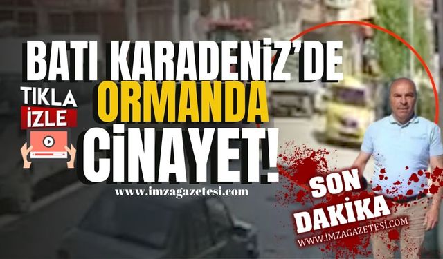 Batı Karadeniz'de ormanda cinayet! Taksici cinayetinde şok gelişme!