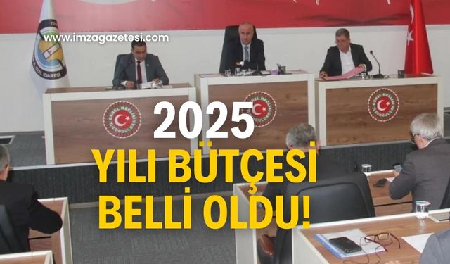 2025 yılı bütçesi belli oldu!