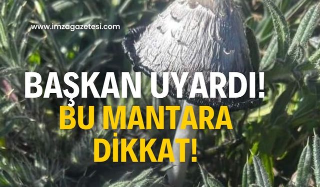 Başkan Çiloğlu uyardı! Bu mantarlara dikkat