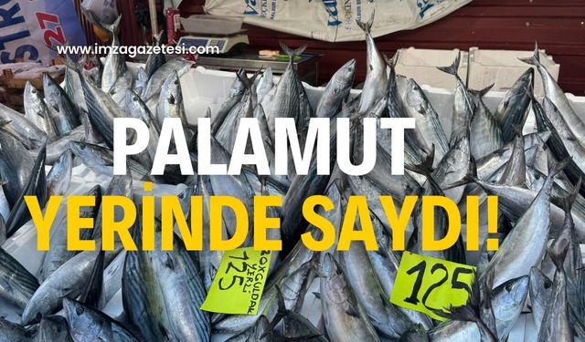 Palamut  yerinde saydı! İlgi görmedi