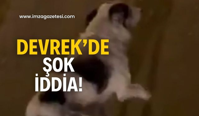 Devrek’de korkunç iddia!