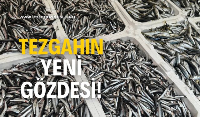 Tezgahın yeni gözdesi! İlgi artıyor