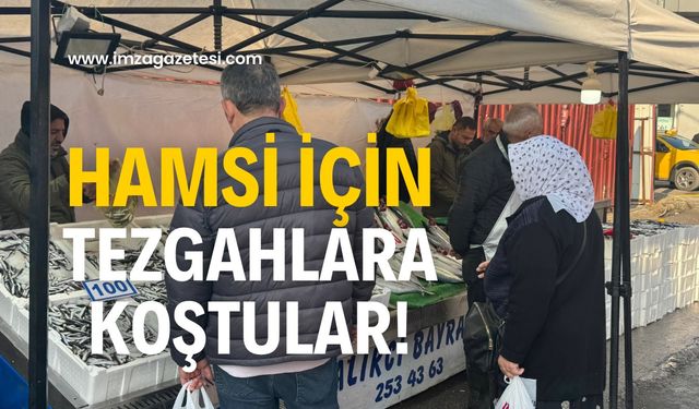 Hamsiye yoğun ilgi!