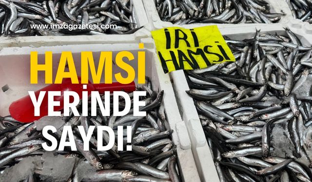 Hamsi yerinde saydı, ilgi bitmedi!