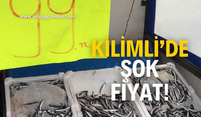 Kilimli’de şok hamsi fiyatı!