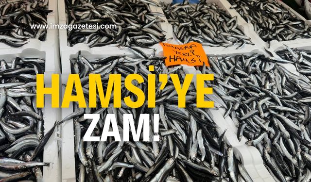 Hamsi zamlandı!