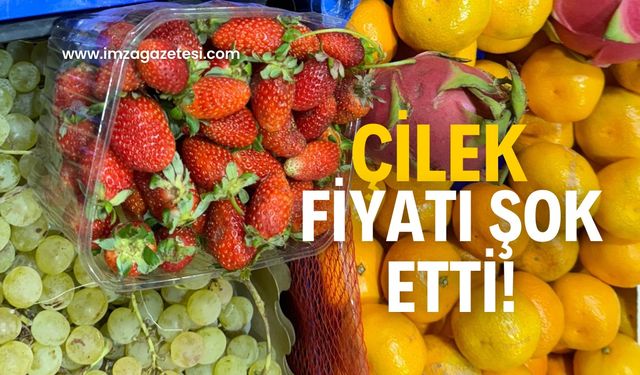 Bu fiyata çok şaşıracaksınız!