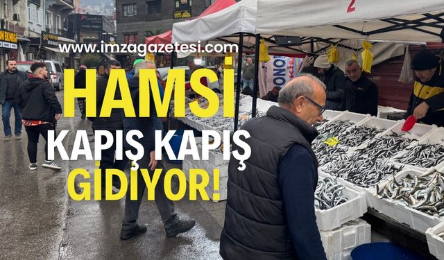 Hamsi’de büyük ucuzluk!