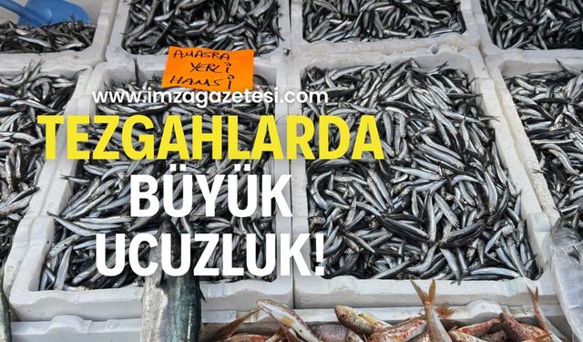 Zonguldak’ta hamsi bereketi! Yoğun ilgi sürüyor