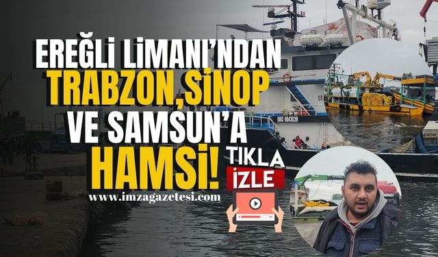 Ereğli Limanı’ndan Trabzon, Sinop ve Samsun’a hamsi sevkiyatı! | Zonguldak Haber