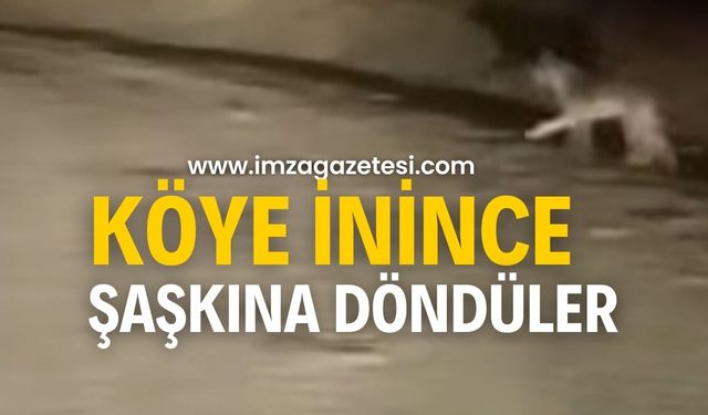 Köye indi, görenler şaşkına döndü!