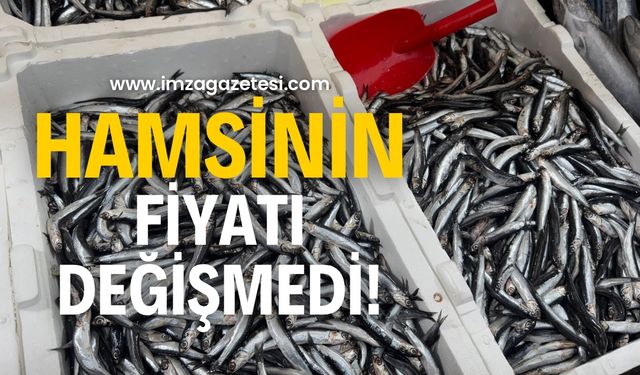 Hamsi’de son durum!