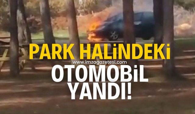 Karabük-Bartın yolunda otomobil alev aldı!