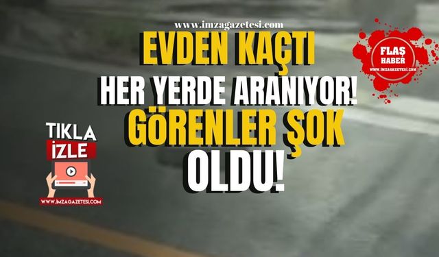 Evden kaçtı! Görenler şaşkına döndü!