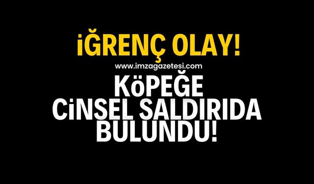 Samsun'un Bafra ilçesinde iğrenç olay! Köpeğe cinsel saldırıda bulundu!