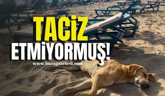 Taciz etmiyormuş!