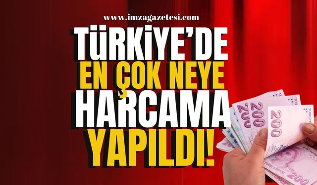 TÜİK açıkladı! Türkiye'de en çok neye harcama yapıldı? | Ekonomi Haber