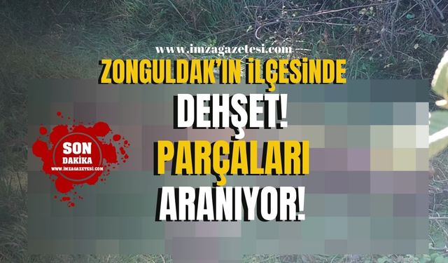 Zonguldak'ın ilçesinde dehşet! Çalıp derisini yüzdüler!