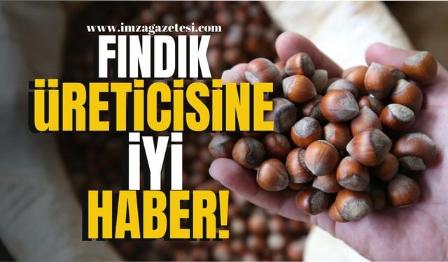 Zonguldak, Giresun, Ordu, Samsun, Trabzon, Bartın, Kocaeli, Düzce'li fındık üreticisine iyi haber!