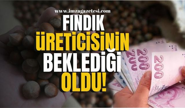 Zonguldak, Giresun, Ordu, Samsun, Trabzon, Bartın, Kocaeli, Düzce'li fındık üreticisinin beklediği oldu!