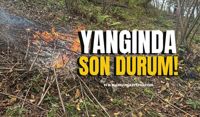 Yangında son durum! Ekipler müdahale ediyor