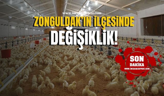 Zonguldak'ta 'Tavuk çiftlik alanına onay!'