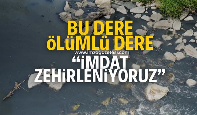 Zonguldak, Karabük ve Bolu zehirleniyor! Bu dereden ölüm akıyor