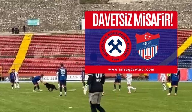 Zonguldakspor-Niğde Belediyespor Maçında Sahaya Köpek Girdi | Zonguldakspor haber